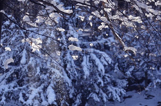 Travel tips help to realize how cold it can get in Canada.